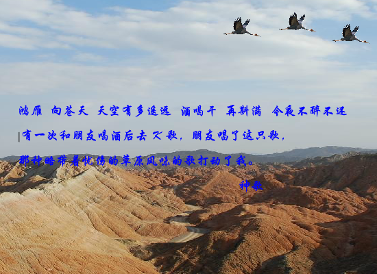 鸿雁（czchina） 截图 6/8