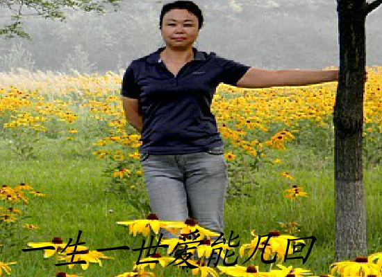 一生一世能爱几回（大海） 截图 3/8