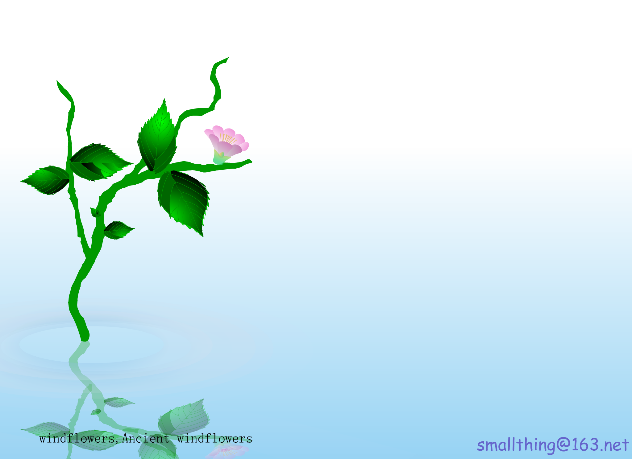 WindFlowers（Garden） 截图 8/8