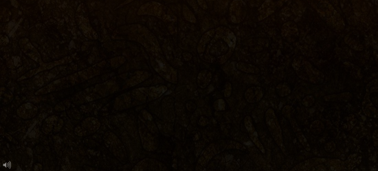Z958-GHZD-D7WP 截图 3/8