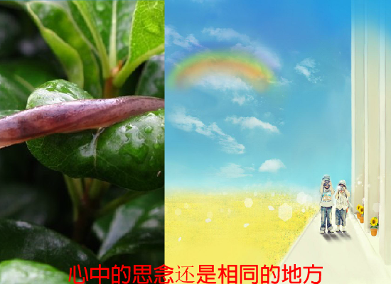 回家（阳光愚石） 截图 2/8