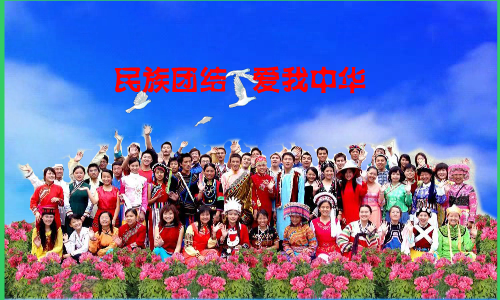 民族团结爱我中华（重阳秋林） 截图 7/8