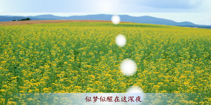 游鸿明 爱一回伤一回（未知） 截图 4/8
