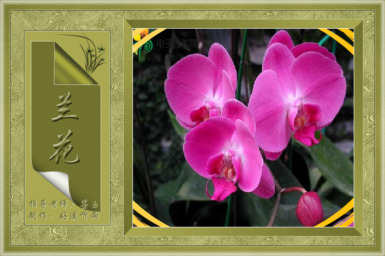 兰花（好溪听雨） 截图 3/8