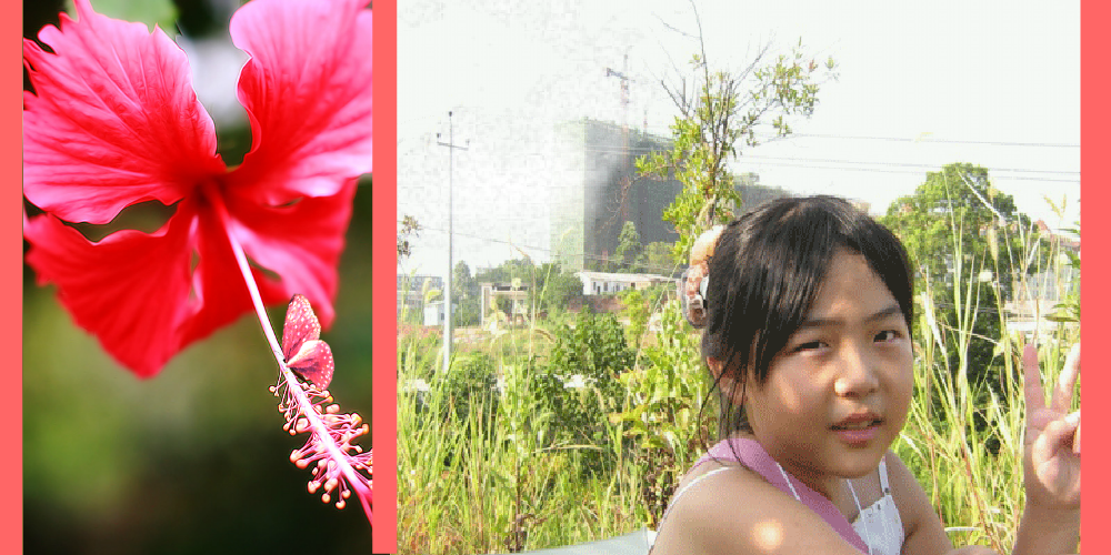 豆豆如花儿（sz_yxf） 截图 7/7