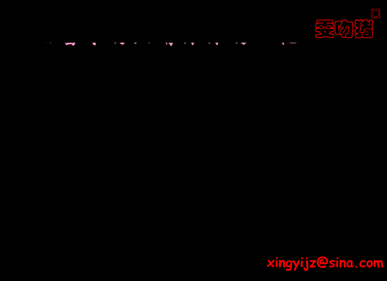 梁静茹:爱你不是两三天（雯晴） 截图 8/8