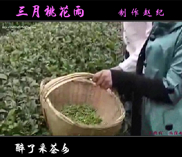 三月桃花雨（赵纪） 截图 4/8