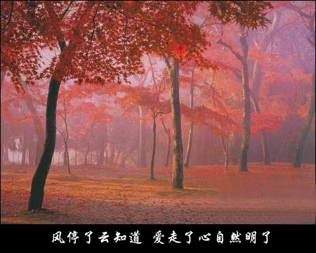 答案随着枫叶飘（mszxf） 截图 4/8