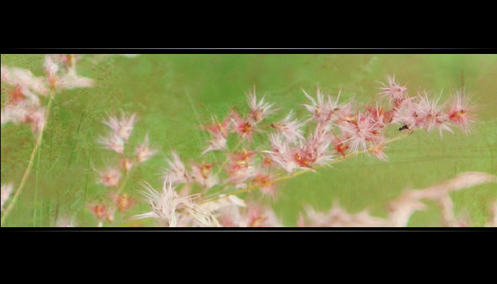 等一分钟（妙昕） 截图 2/8