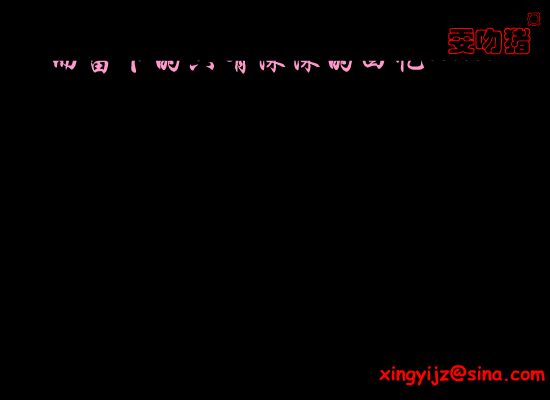 梁静茹:爱你不是两三天（雯晴） 截图 7/8