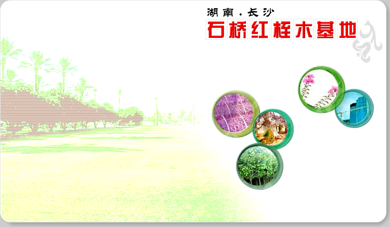 网站片头（快乐小珂） 截图 6/8