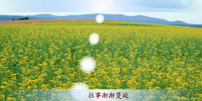 游鸿明 爱一回伤一回（未知） 截图 8/8