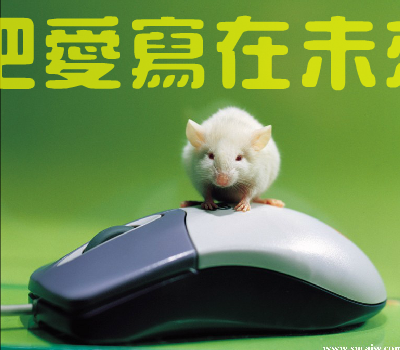 不能没有你[那英]（anjt） 截图 4/8