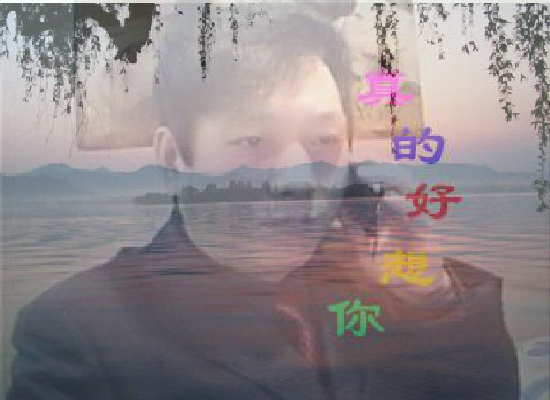 电话情思（风雨人生） 截图 3/7