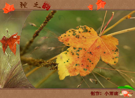 秋之韵（ulan2012） 截图 6/8