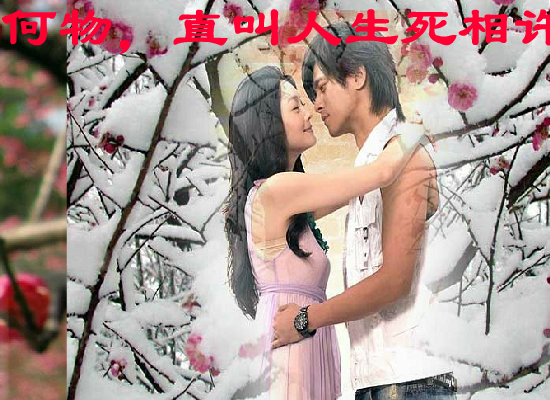 梅花三弄（hustyuyq） 截图 4/8