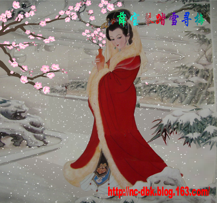踏雪寻梅（麻宝苍） 截图 3/8