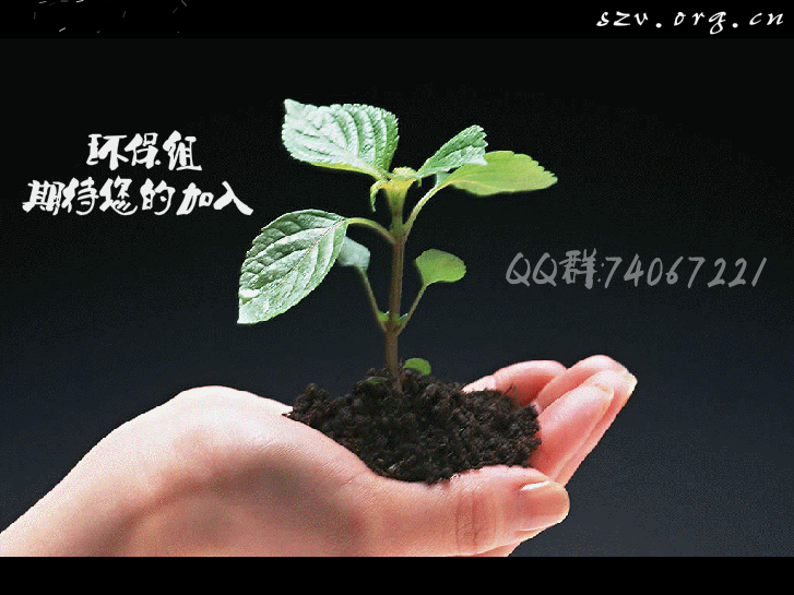 欧阳菲菲 感恩的心（jsfeng.com） 截图 8/8