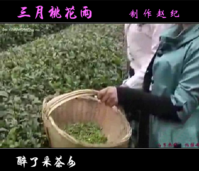 三月桃花雨（赵纪） 截图 2/8