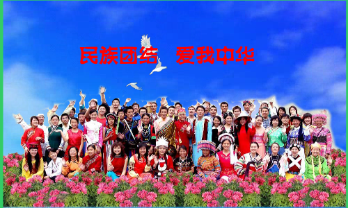 民族团结爱我中华（重阳秋林） 截图 5/8