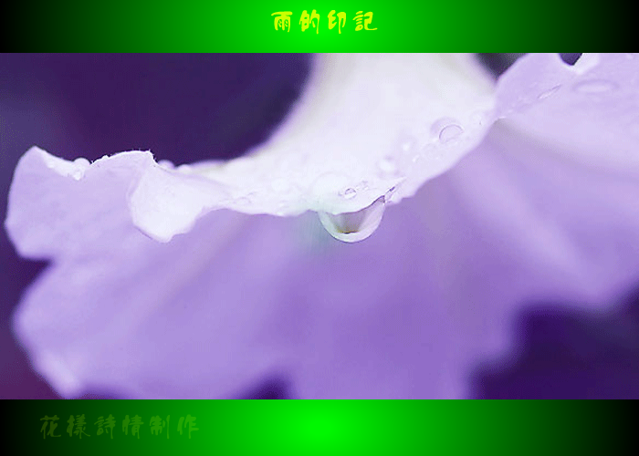 雨的印记（火星人QQ） 截图 5/8