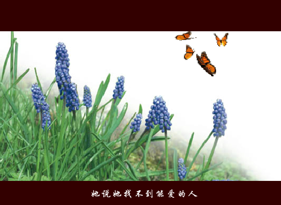 失踪[林忆莲]（豆豆418） 截图 2/8