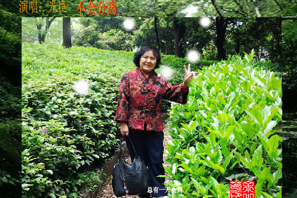 不会分离（sz_yxf） 截图 1/8