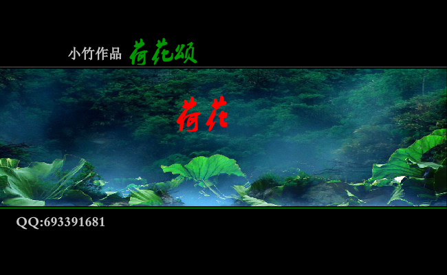 荷花颂 截图 2