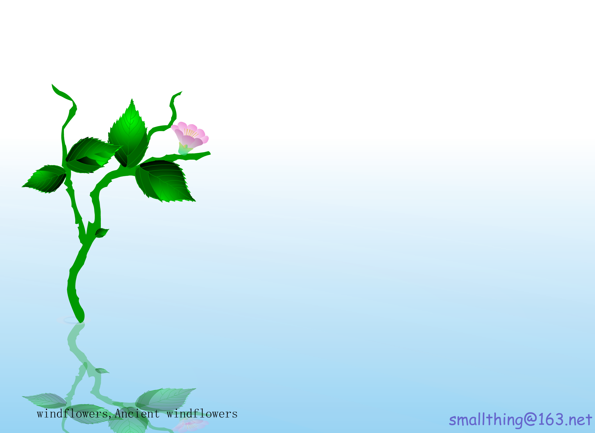 WindFlowers（Garden） 截图 6/8