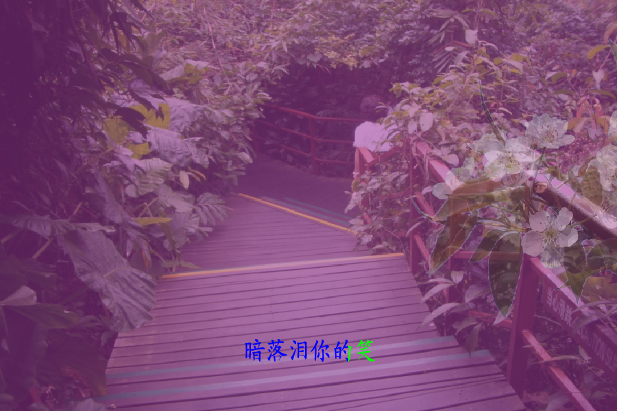 梨花情（钟华锦绣） 截图 3/8