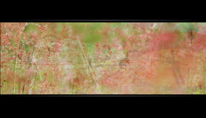 等一分钟（妙昕） 截图 8/8