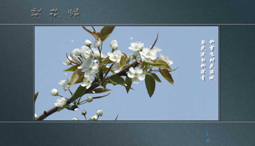 梨花情（白雪） 截图 2/8