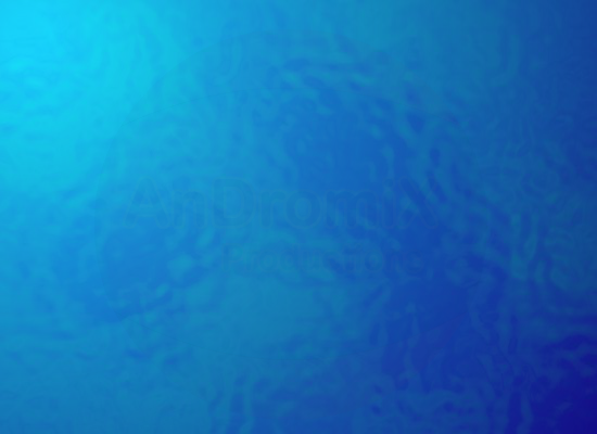 海底捞珍珠 截图 7/8