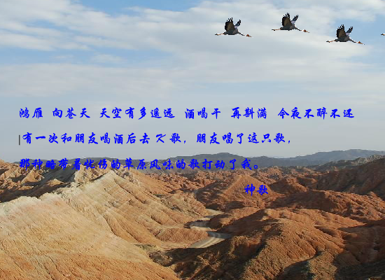 鸿雁（czchina） 截图 4/8
