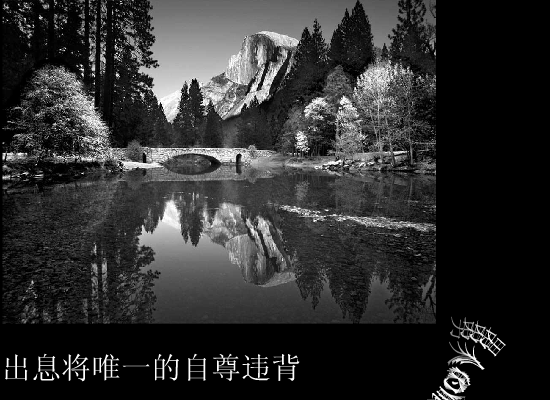一个男人的眼泪[任贤齐]（kenny） 截图 6/8