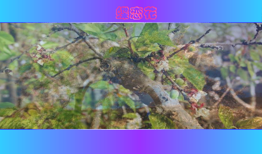 蝶恋花（一缕幽香） 截图 5/8