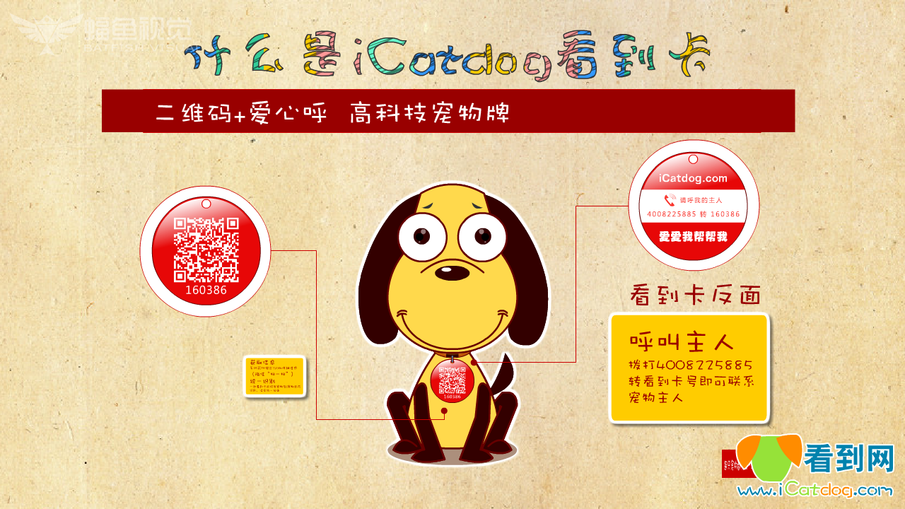 icatdog看到网介绍（蝠鱼视觉） 截图 6/8