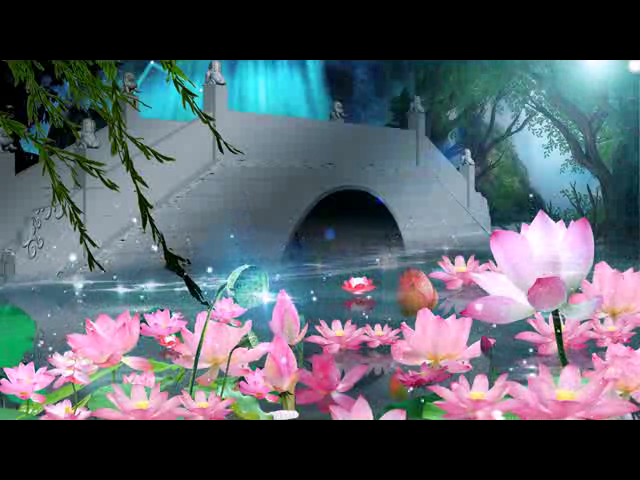 荷花（钟华锦绣） 截图 8/8