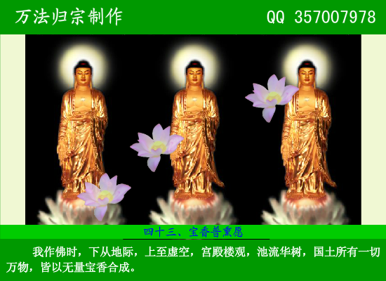 阿弥陀佛四十八大愿（万法归宗） 截图 3/8