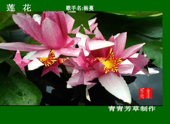 莲花 截图 2
