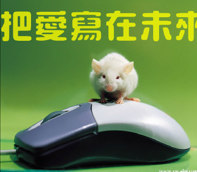 不能没有你[那英]（anjt） 截图 3/8