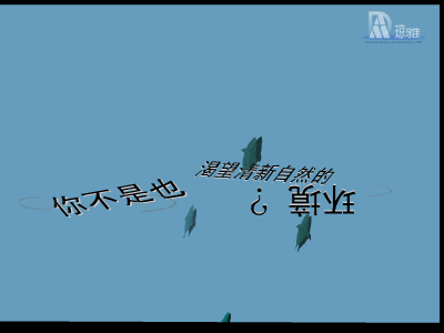 爱它，请给它自由（琼雅艺术设计空间） 截图 3/8