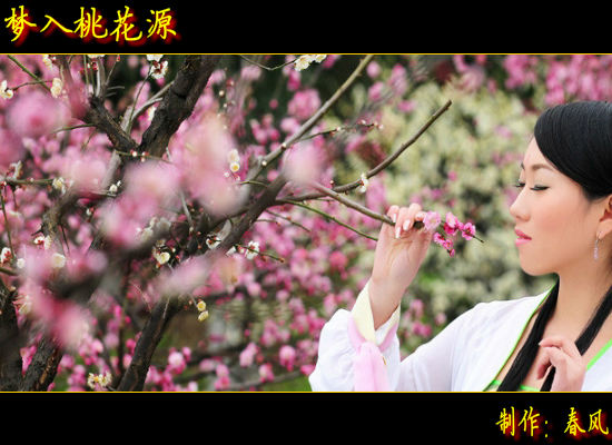 梦入桃花源（指间春色） 截图 4/8