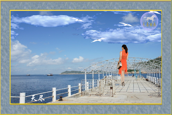 彩云伴海鸥（maxc） 截图 8/8