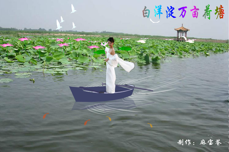 白洋淀万亩荷塘（麻宝苍） 截图 6/8