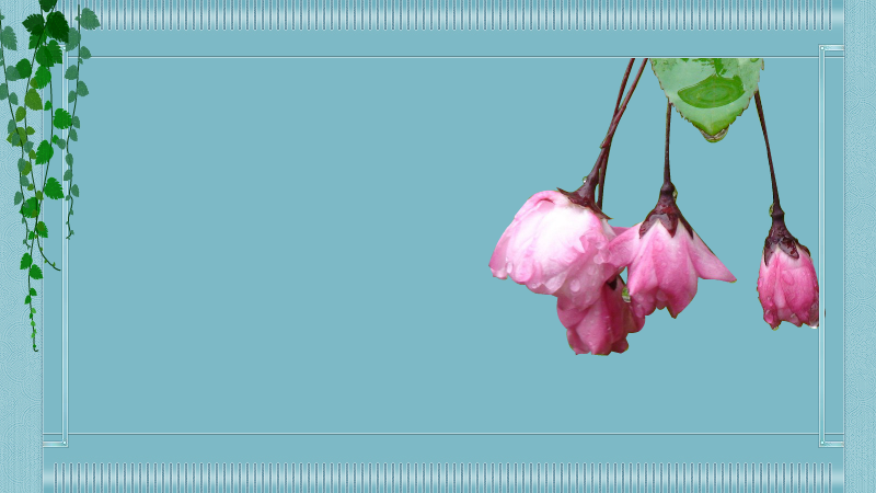 三月桃花雨（小白） 截图 1/2