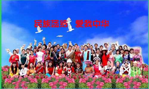 民族团结爱我中华（重阳秋林） 截图 6/8