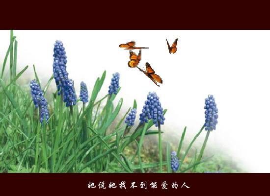 失踪[林忆莲]（豆豆418） 截图 5/8