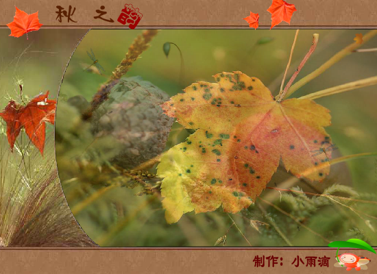 秋之韵（ulan2012） 截图 5/8