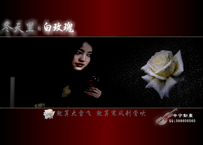 冬天的白玫瑰（东华） 截图 3/4